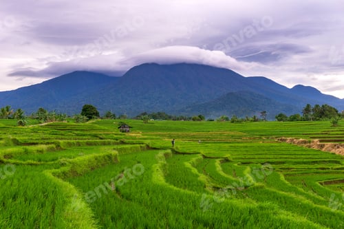 Preview: beautiful morning view from Indonesia of mountains and tropical forest