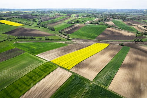 Preview: Colorful patterns in crop fields at farmland, aerial view, drone photo