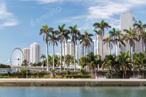 Preview: Modern skyline of Miami with towering skyscrapers, tropical vibe, and waterfront views