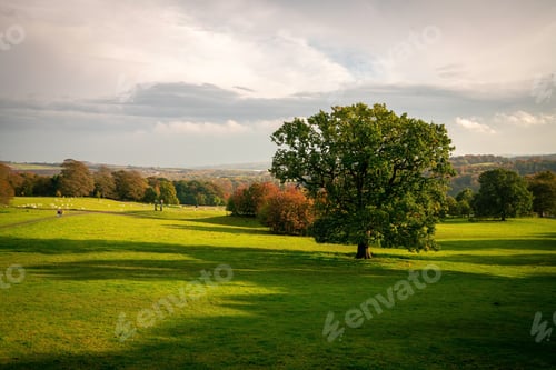 Preview: Yorkshire Sculpture Park Valley