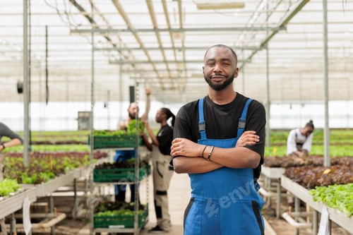 Preview: Farm worker cultivating locally crops