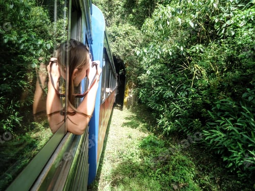 Preview: Jungle Travel