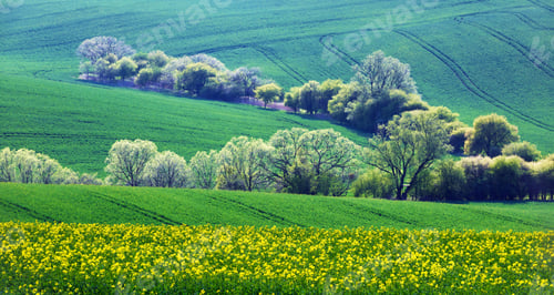 Preview: Rural landscape with fields and trees