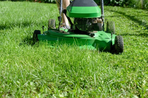 Preview: Ground level closeup of green lawn mower