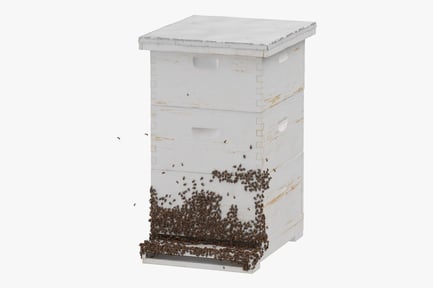 Preview: Langstroth Beehive with Honeybees