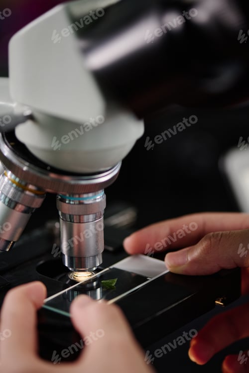 Preview: Putting sample under lens of microscope