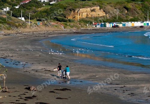 Preview: Young couple with a baby in a pram and a dog walk along the deserted Titahi Bay in New Zealand