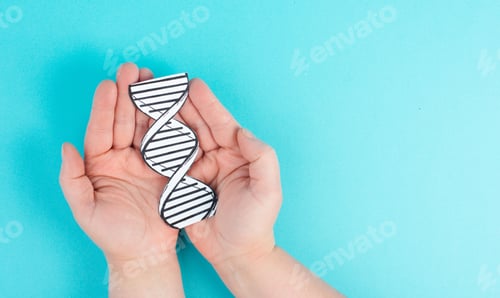 Preview: Holding a DNA strand in the hand, genetic therapy and treatment, biotechnology in mordern medicine