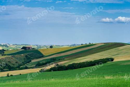 Preview: Rural landscape near Ostra Vetere and Cingoli, Marche, Italy