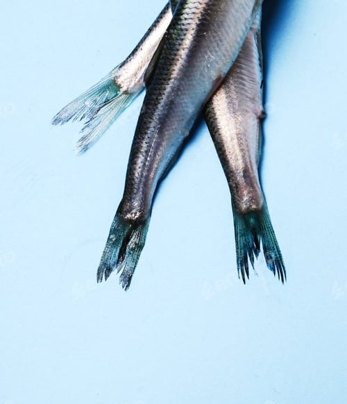 Preview: Delicious fish