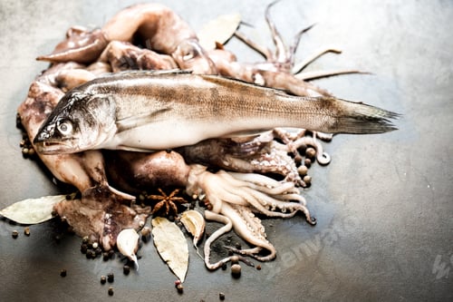 Preview: squid and fish on black background