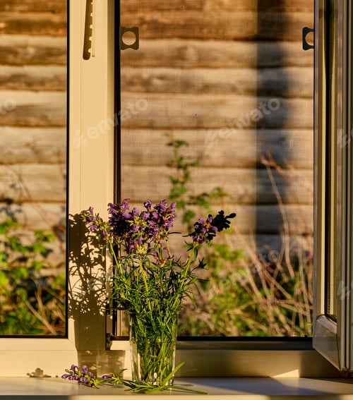 Preview: Bouquet of violet wildflowers lit by sunlight on white window sill in farmhouse.