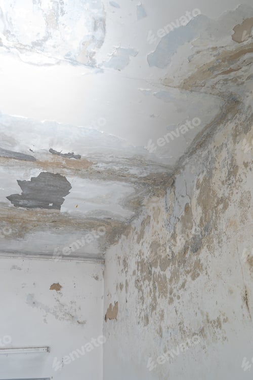 Preview: Mold on the walls and ceiling in the room. Peeling plaster and whitewash. Dampness in an old house.