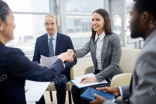 Preview: Businesswomen handshaking