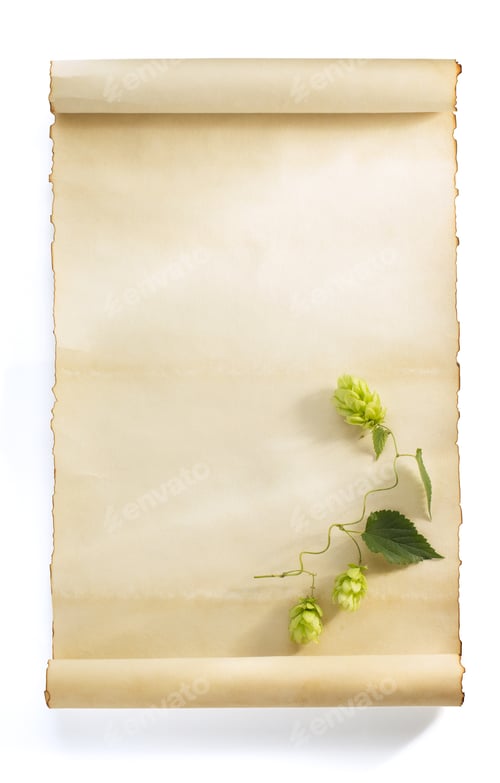 Preview: hop cones isolated on white