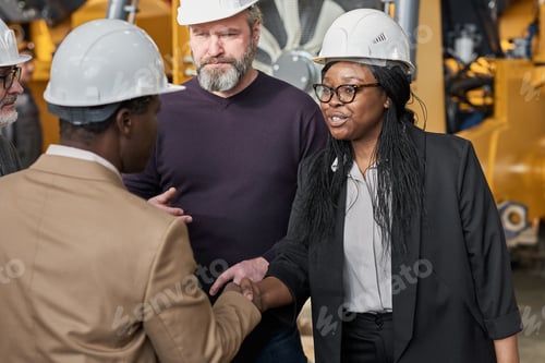 Preview: Business people shaking hands at meeting