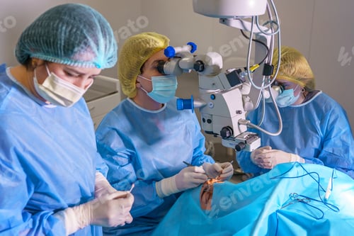 Preview: Rejuvenation and modification of the area around the eyes