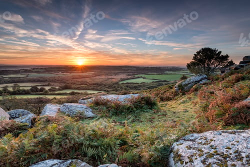 Preview: Autumn Sunrise