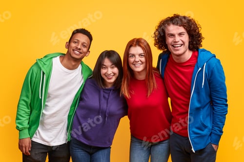 Preview: Group of cheerful international friends