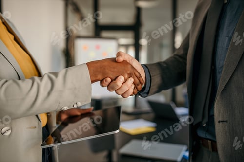 Preview: Businesspeople shaking hands after successful meeting in office