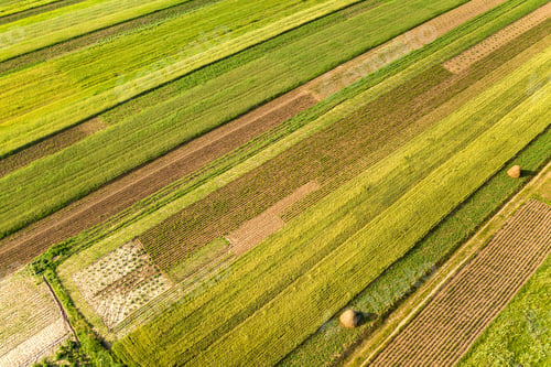 Preview: Aerial view of green agricultural fields in spring with fresh vegetation after seeding season on a