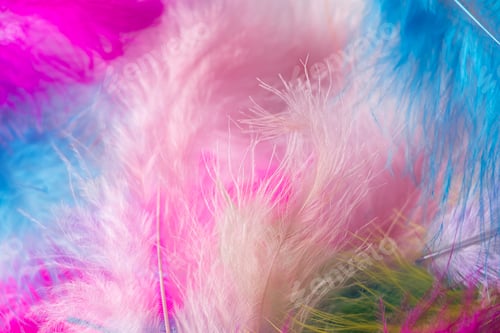 Preview: Many light multi-colored feathers for a carnival costume.