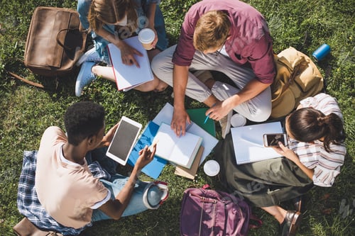 Preview: overhead view of young multiethnic students studying together while sitting on grass