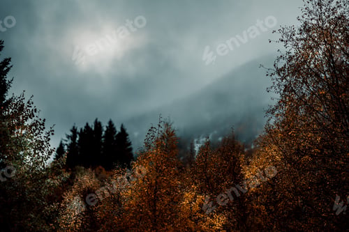 Preview: An autumn scene in the mountains of Norway