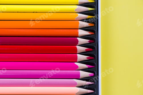 Preview: Multicolored and colorful pencils on the yellow background