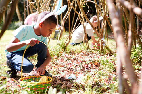 Preview: Group Of Children Wearing Bunny Ears Finding Easter Eggs Hidden In Garden