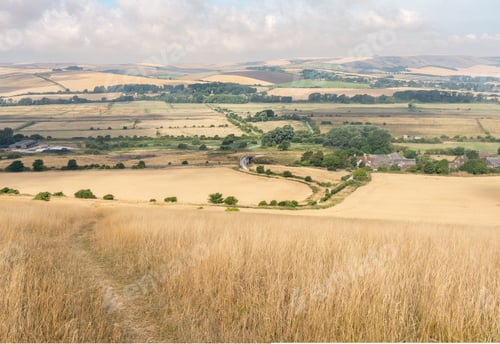 Preview: Picturesque scene of a rural landscape, featuring a vast expanse of empty, golden-brown grass