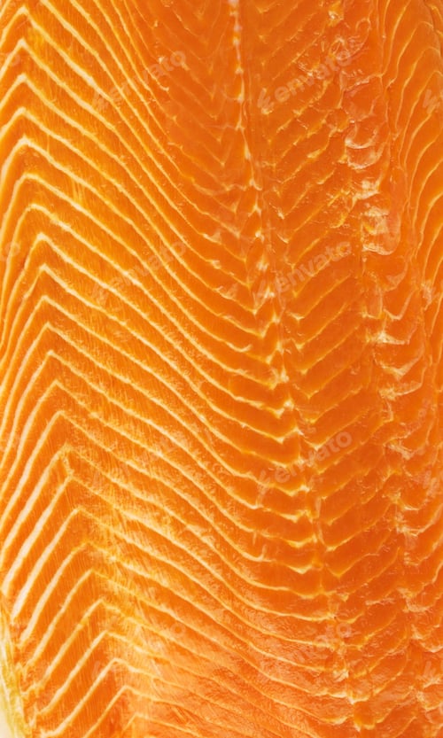 Preview: fresh salmon fillet background