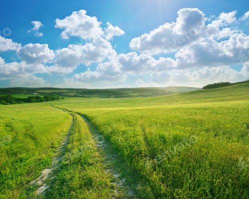 Preview: Road lane and deep blue sky. Nature design.