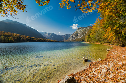 Preview: Magical colorful and vibrant autumn at the lake