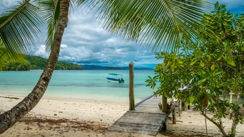 Preview: Beautiful Blue Lagoone with a Palmtree in Front, Gam Island, West Papuan, Raja Ampat, Indonesia