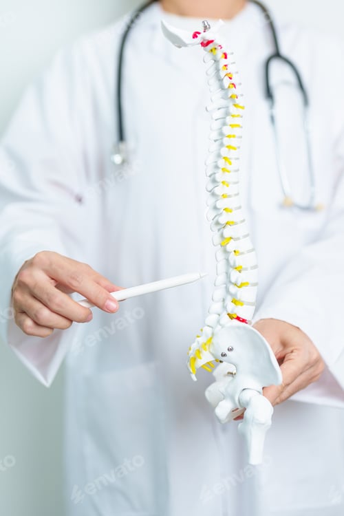 Preview: Doctor with human Spine anatomy model. Spinal Cord Disorder