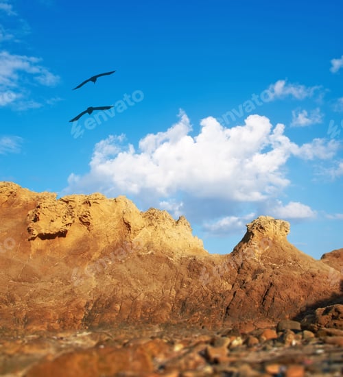 Preview: Rocky terrain in Wellington, New Zealand