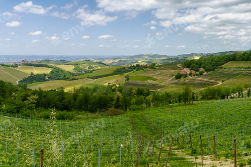 Preview: Landscape of Langhe, Piedmont, Italy near Dogliani at May
