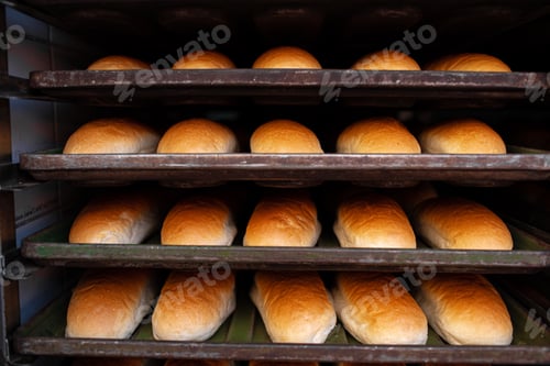 Preview: Freshly baked bread loafs on a shelf