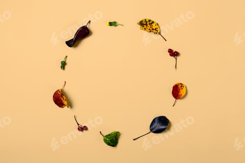 Preview: Round composition of autumn leaves and red berries on beige background