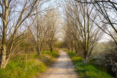 Preview: Grugnotorto park, Milan, Italy, at March