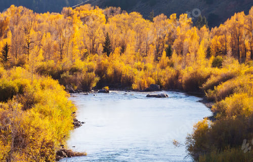 Preview: Autumn river