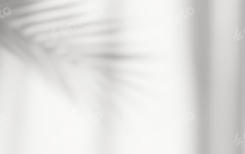 Preview: Abstract silhouette shadow white background of natural leaves tree branch falling on wall.