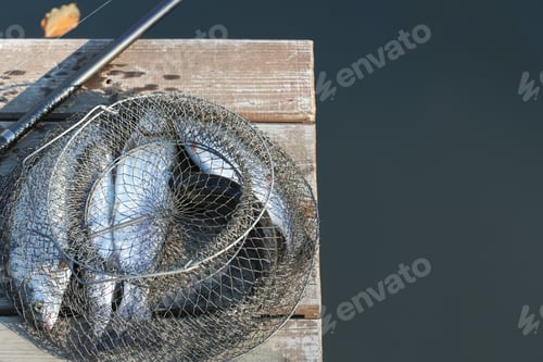 Preview: Fishing rod and fresh fish on wooden pier near pond. Space for text