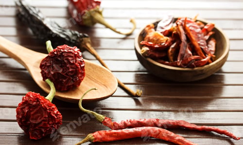 Preview: Best food in the world