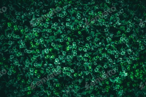 Preview: A background with an abstract design and a close-up texture of green leaves.