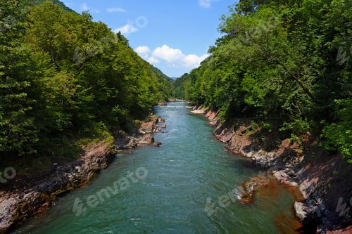 Preview: Mountain river in green forest