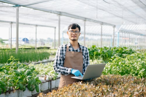 Preview: Asian farmer using hand holding tablet and organic vegetables hydroponic in greenhouse plantation.