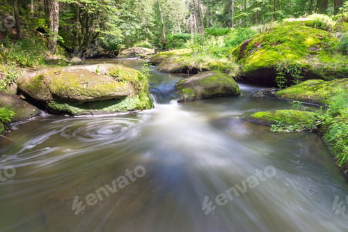 Preview: Serene Forest Stream with Mossy Rocks