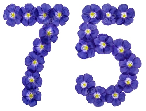 Preview: Arabic numeral 75, seventy five, from blue flowers of flax, isolated on white background